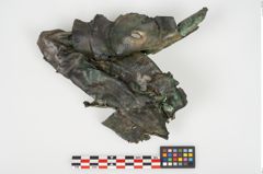 Foto von Bronzephalere (NHMW-PRAE-026093)